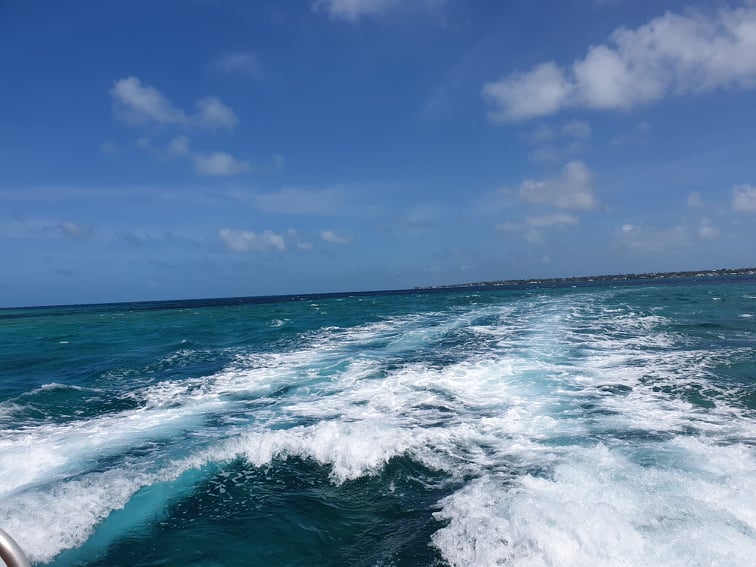 66524054_369762513724918_3552431531433656320_n