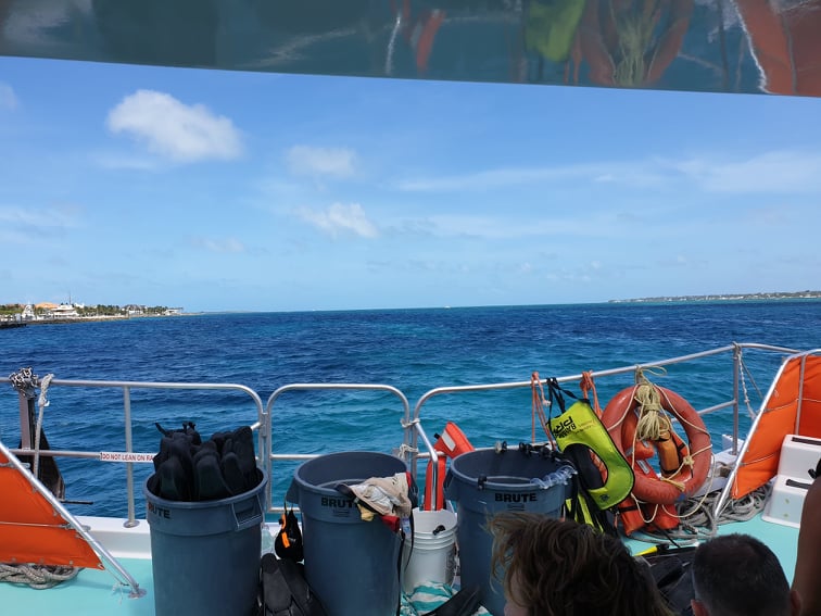 66792641_457643708292042_7266532929038188544_n