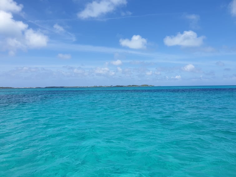 66833651_687765021674089_7750006806159556608_n