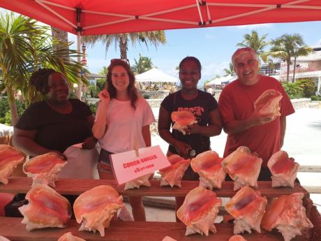 67000024_209204099996898_7002029734641008640_n