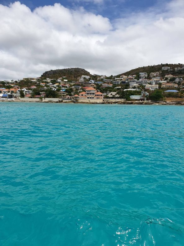 68616231_355559232042329_5949304212117520384_n