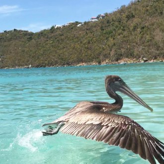 IMG_20190511_104435_383