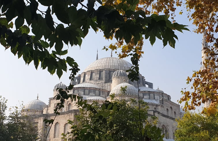 72590520_740952549699932_5833136543740461056_n