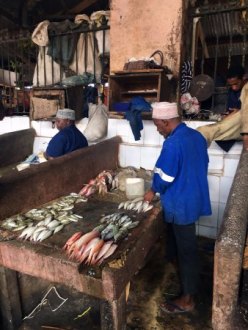 stone-town-fish-market[1]