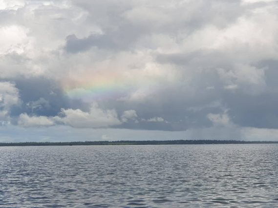 78308876_560352294530652_8537574770248515584_n