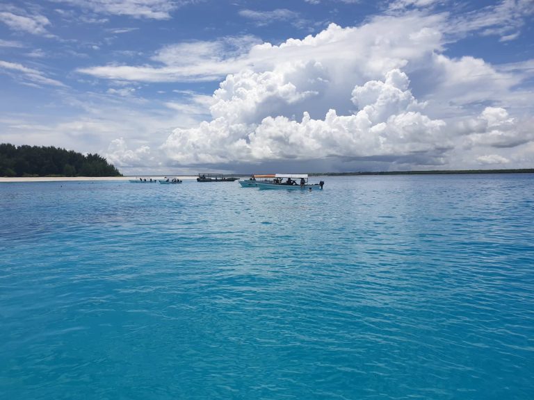 78315397_1003580763338273_1429534827446534144_n