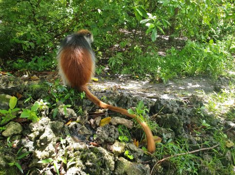 78405113_422325995342666_1598356887907074048_n