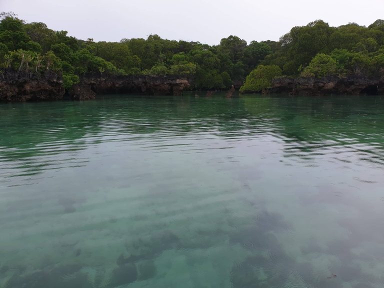 78431744_1485797891586747_7232185736269660160_n