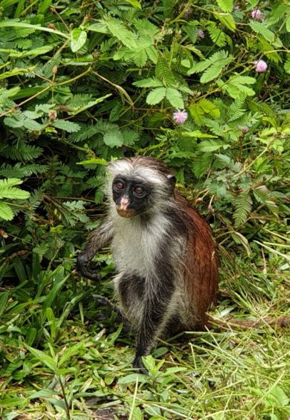 78770985_431325037560913_8188874269636165632_n