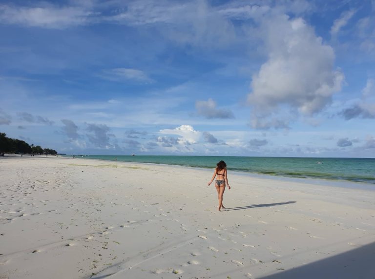 78887194_1471777126313638_4872286659510534144_n