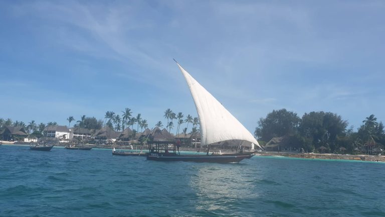 79106379_641705319698849_2008614955749736448_n