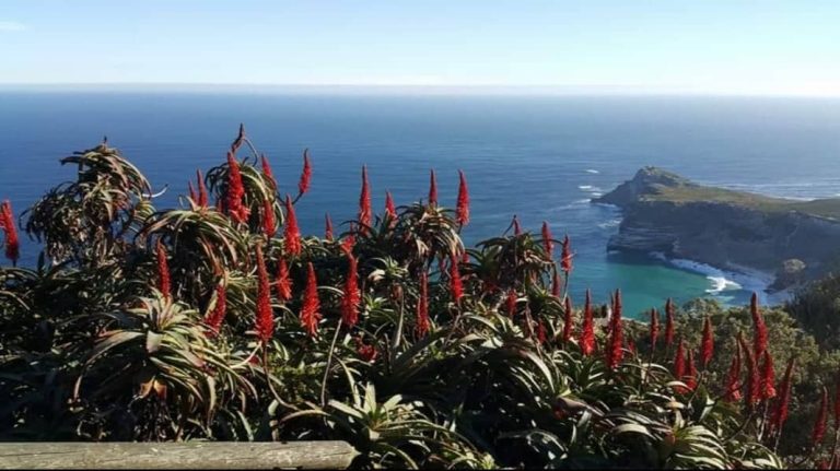 84625146_486791272226059_6828075089477500928_n