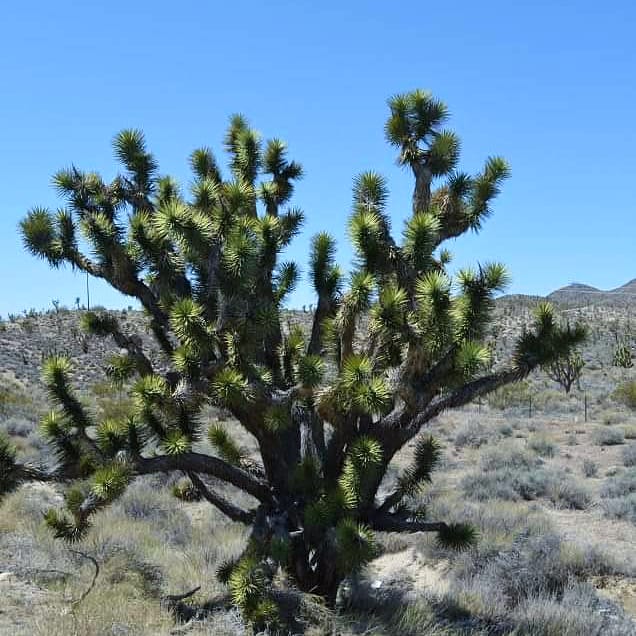 IMG_20200429_184015_823