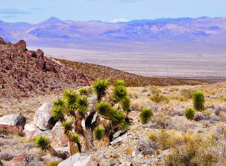Mojave-Desert-Photo-credit-Ken-Cole-US-Geological-Survey