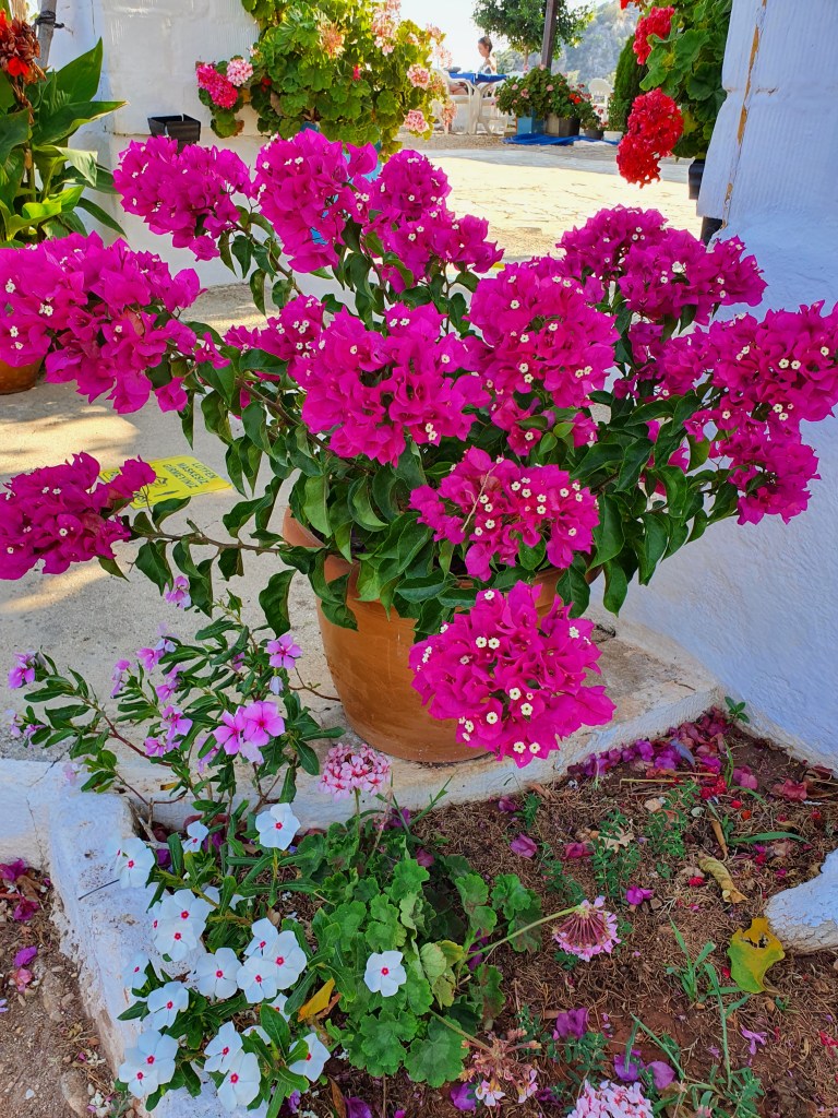 This image has an empty alt attribute; its file name is 20200706_170334.jpg