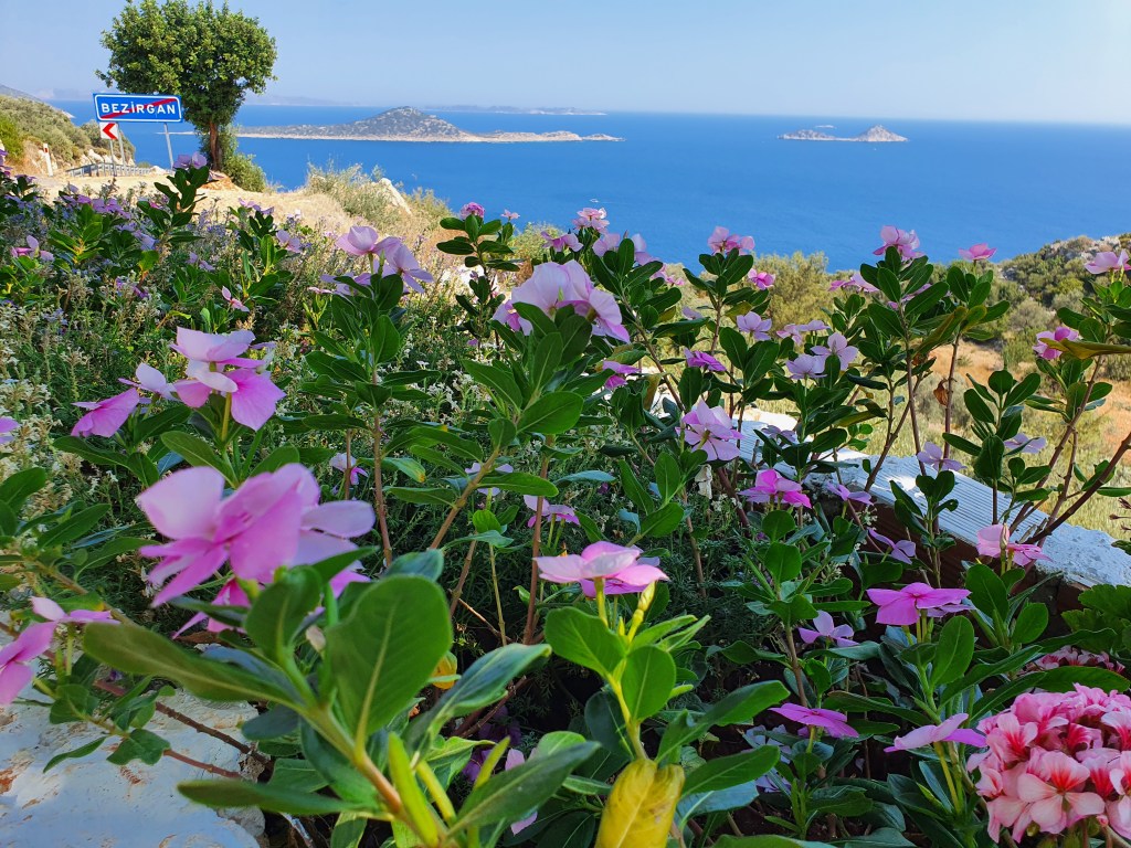 This image has an empty alt attribute; its file name is 20200710_154222.jpg