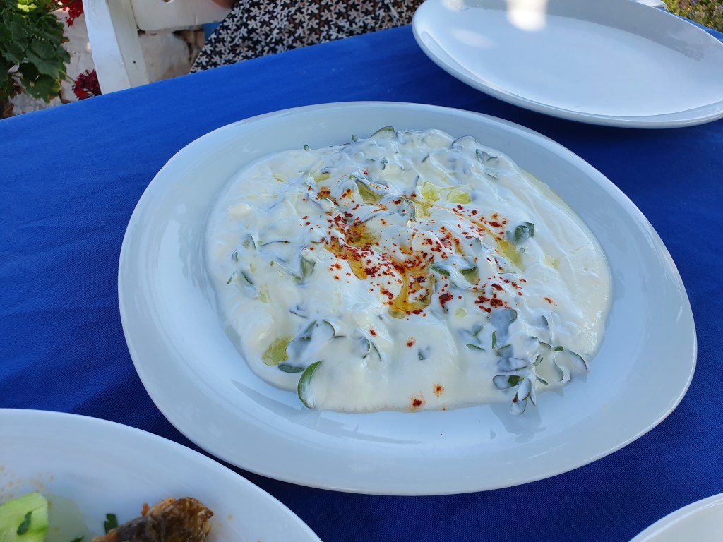 This image has an empty alt attribute; its file name is 20200710_155021-1.jpg