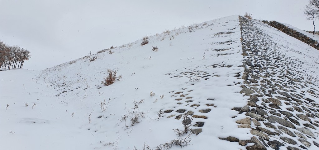 This image has an empty alt attribute; its file name is 20210324_111318.jpg